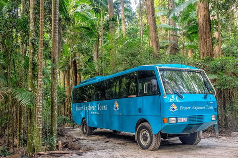 All-Inclusive Fraser Island Day Tour - Accommodation Great Ocean Road 0