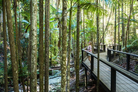 All-Inclusive Fraser Island Day Tour - Accommodation Great Ocean Road 7