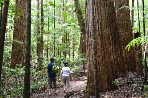 All-Inclusive Fraser Island Day Tour - Accommodation Great Ocean Road 6