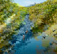 Cruise 'n' Canoe to Australia's Everglades - Accommodation Great Ocean Road