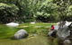 Aboriginal Cultural Daintree Rainforest Tour From Cairns Or Port Douglas - thumb 5