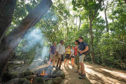Aboriginal Cultural Daintree Rainforest Tour From Cairns Or Port Douglas - Accommodation Great Ocean Road 3