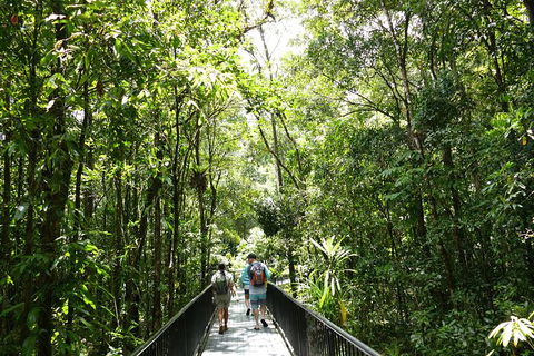 Aboriginal Cultural Daintree Rainforest Tour From Cairns Or Port Douglas - Accommodation Great Ocean Road 4