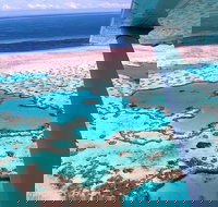 8-Day Cairns Tour Great Barrier Reef Kuranda Daintree Rainforest - Accommodation Great Ocean Road