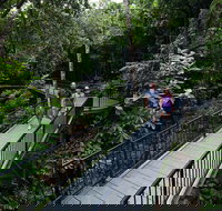 4-Day Cairns with Great Barrier Reef and Daintree Rainforest - Accommodation Great Ocean Road