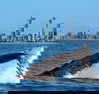 Gold Coast Airport to and from Byron Bay NSW for up-to 7 ppl - Accommodation Great Ocean Road