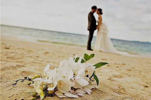 Airport Transfer - Port Douglas To Cairns Airport - Accommodation Great Ocean Road 1