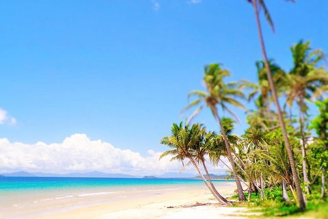 Airport Transfer - Mission Beach To Cairns Airport - Accommodation Great Ocean Road 3