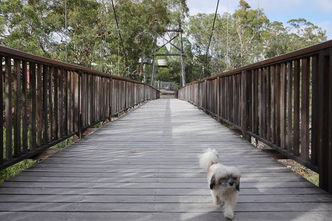 Entry Ticket At Historic Village Herberton - Accommodation Great Ocean Road 29