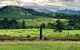 Tableland Tasting Tour - thumb 0
