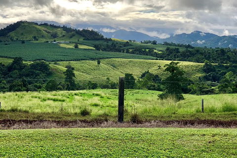 Tableland Tasting Tour - Accommodation Great Ocean Road 0