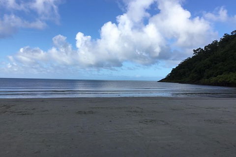 Daintree Luxury Limousine Tour - Full Day - Accommodation Great Ocean Road 6