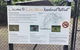 Daintree Luxury Limousine Tour - Full Day - thumb 2