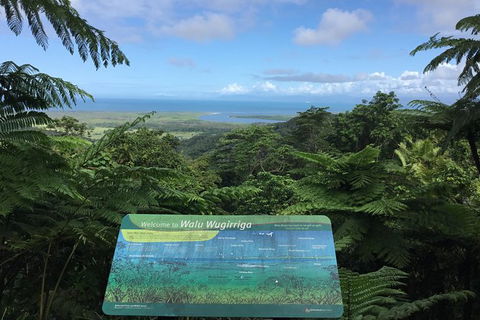 Daintree Luxury Limousine Tour - Full Day - Accommodation Great Ocean Road 0