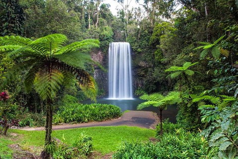 Cairns & Port Douglas All-Inclusive 7 Days Touring Package - Accommodation Great Ocean Road 5