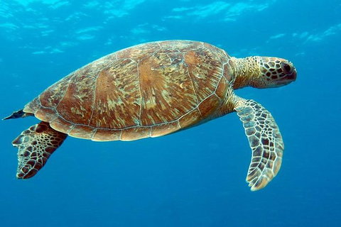 Cairns & Port Douglas All-Inclusive 7 Days Touring Package - Accommodation Great Ocean Road 1