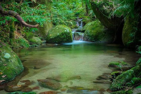 SHUTTLE - Mossman Gorge & Cooya Beach From Port Douglas (Return Transfer) - Accommodation Great Ocean Road 2