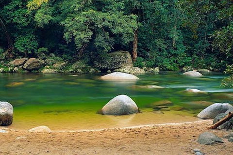 SHUTTLE - Mossman Gorge & Cooya Beach From Port Douglas (Return Transfer) - Accommodation Great Ocean Road 1