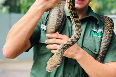 Virtual Interactive Australian Wildlife Tour With Private Guide-Wildlife Habitat - Accommodation Great Ocean Road 3