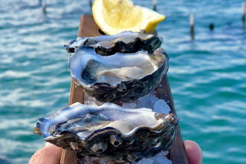 Coffin Bay Oysters, Ocean & Nature Tour - Accommodation Great Ocean Road 0
