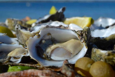 Coffin Bay Oysters, Ocean & Nature Tour - Accommodation Great Ocean Road 8