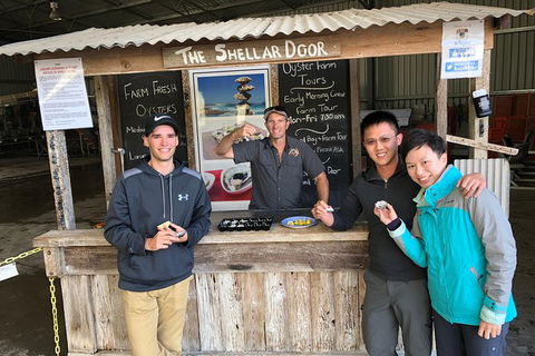 Coffin Bay Oysters, Ocean & Nature Tour - Accommodation Great Ocean Road 13
