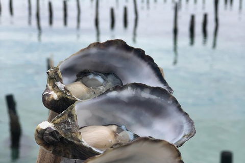 Coffin Bay Oysters, Ocean & Nature Tour - Accommodation Great Ocean Road 6
