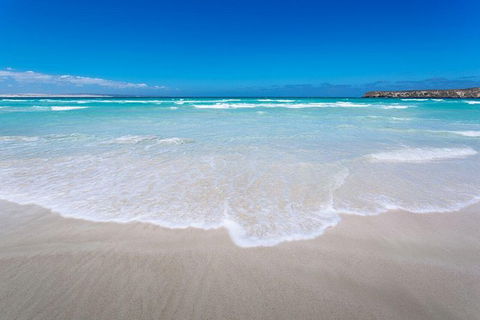 Coffin Bay Oysters, Ocean & Nature Tour - Accommodation Great Ocean Road 14