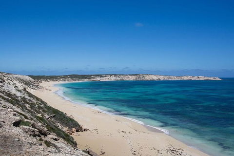 Coffin Bay Oysters, Ocean & Nature Tour - Accommodation Great Ocean Road 16