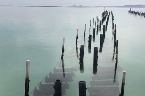 Coffin Bay Oysters, Ocean & Nature Tour - Accommodation Great Ocean Road 15