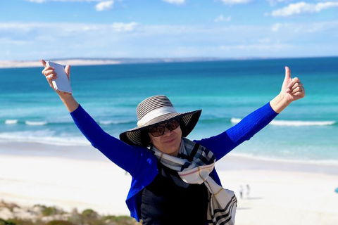 Coffin Bay Oysters, Ocean & Nature Tour - Accommodation Great Ocean Road 11