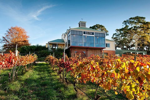 Adelaide Hills Food, Wine, Cheese, & Chocolate - Private Day Tour - Accommodation Great Ocean Road 7