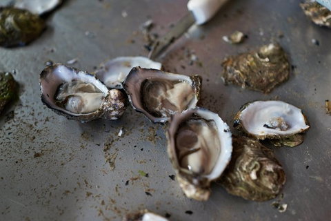 Fine Flavours - Full Day Kangaroo Island Food & Wine Tour - Accommodation Great Ocean Road 10