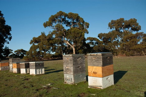 Fine Flavours - Full Day Kangaroo Island Food & Wine Tour - Accommodation Great Ocean Road 5