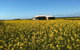 Fine Flavours - Full Day Kangaroo Island Food & Wine Tour - thumb 11