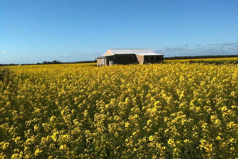 Fine Flavours - Full Day Kangaroo Island Food & Wine Tour - Accommodation Great Ocean Road 11