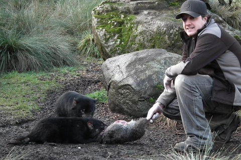 After Dark Tasmanian Devil Feeding Tour At Cradle Mountain - Accommodation Great Ocean Road 0