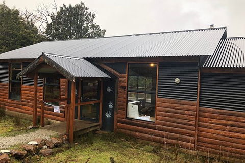 After Dark Tasmanian Devil Feeding Tour At Cradle Mountain - Accommodation Great Ocean Road 6