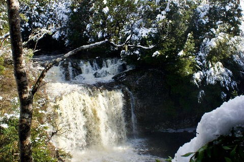 Cradle Mountain Park Explorer - Accommodation Great Ocean Road 1