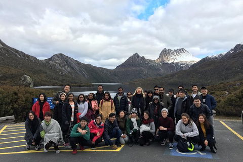 Shore Excursion - Cradle Mountain Day Tour From Burnie - Accommodation Great Ocean Road 4