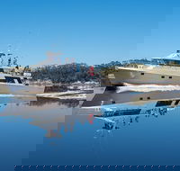4-Day Cruise Expedition of Southwest Tasmania's World Heritage from Hobart - Accommodation Great Ocean Road