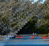 Twin Rivers Adventure - Accommodation Great Ocean Road