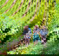Hobart Highlights of Tasmanian Wine Full Day Tour - Accommodation Great Ocean Road
