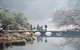 3.5 Hours Walking Tour To Cataract Gorge With Local Guide - thumb 4
