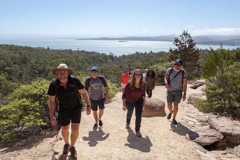 Half-Day Tour To Wineglass Bay From Launceston With Guide - Accommodation Great Ocean Road 4