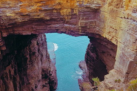 4-Day Fabulous Tasmania Tour: Wineglass Bay, Port Arthur, Devils & Bruny Island - Accommodation Great Ocean Road 6