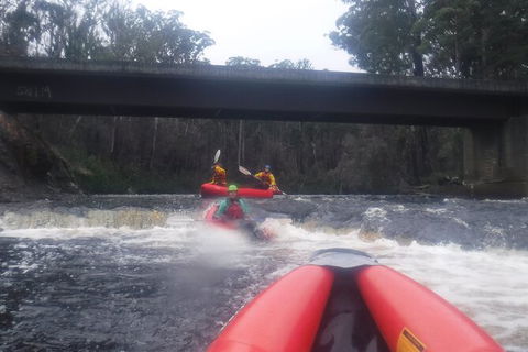 Twin Rivers Winter Adventure - Accommodation Great Ocean Road 4
