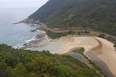The Great Ocean Road 1 Day Private Sunset Tour - Accommodation Great Ocean Road 5