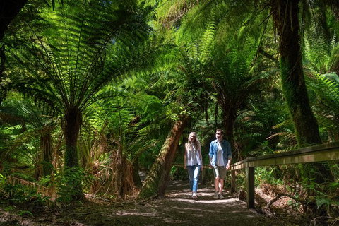 The Great Ocean Road 1 Day Private Sunset Tour - Accommodation Great Ocean Road 1