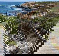 Warrnambool Wanderer Tour - Accommodation Great Ocean Road